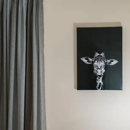 Kostas By Bill Lejlighed Patras